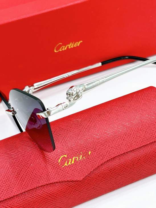 Picture of Cartier Sunglasses _SKUfw79568536fw